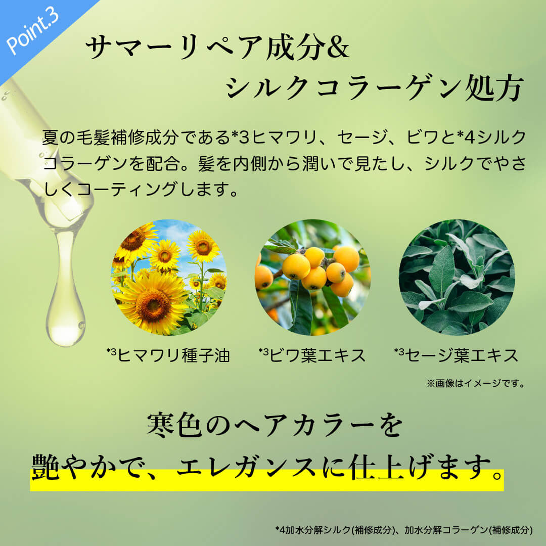 KG Kyogoku Color Shampoo Ash Grey 200ml 超純水矯色洗頭水(灰色)
